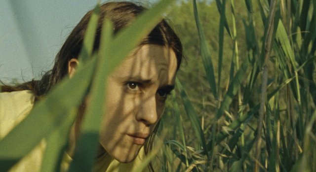 Δείτε online τη μικρού μήκους «Scorched Earth» της Μαρκέλας Κονταράτου στο Short of the Week!