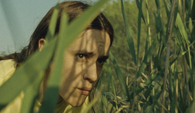 Δείτε online τη μικρού μήκους «Scorched Earth» της Μαρκέλας Κονταράτου στο Short of the Week!