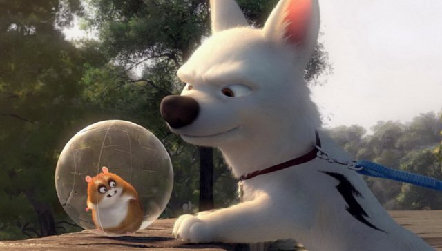 ΦΩΤΟΓΡΑΦΙΕΣ