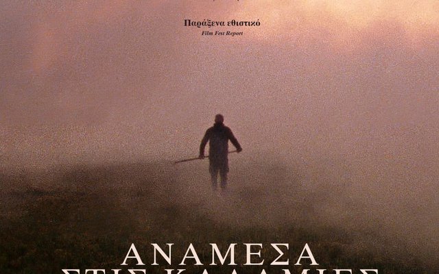 Ανάμεσα στις Καλαμιές