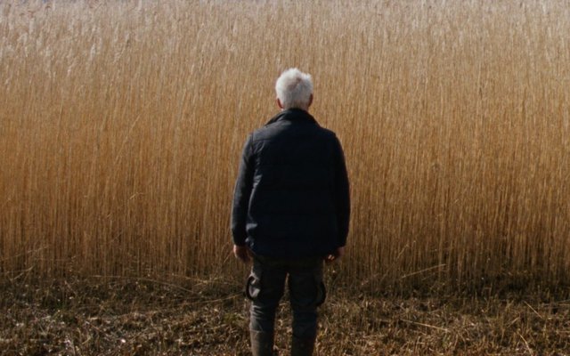 Ανάμεσα στις Καλαμιές