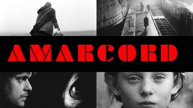 Νέο γραφείο διανομής «Amarcord»! Το σινεμά που πρέπει να προβάλλεται