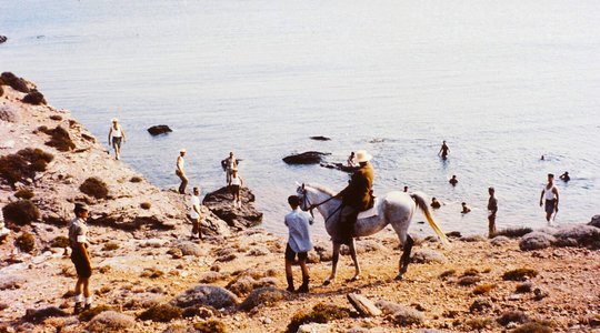 Χάππυ Νταίη