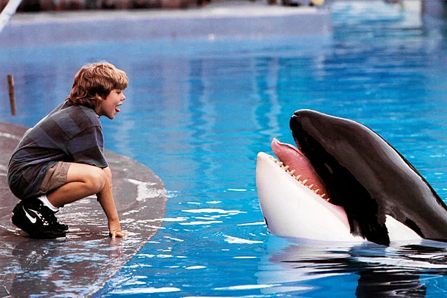 Η Warner ετοιμάζει reboot του «Free Willy»!