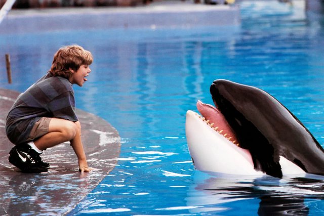 Η Warner ετοιμάζει reboot του «Free Willy»!