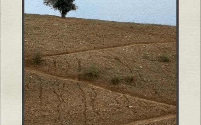 Πού Είναι το Σπίτι του Φίλου Μου;