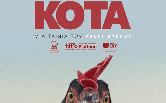 Κότα
