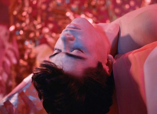 PINK NARCISSUS